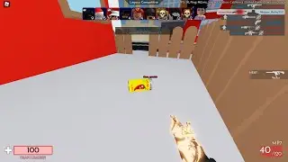 WAIT WHAT IS THIS 
