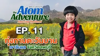 ทุ่งทานตะวันบาน เขาจีนแล จังหวัดลพบุรี | ทริปเหนือ