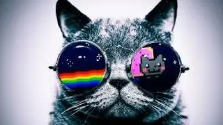 Am I A Scammer (Opinion Zone #2) (Gone Weird!?!)