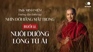 Thầy Minh Niệm | Thiền tọa 11: Nuôi dưỡng lòng từ ái | Chuỗi: Nhìn đời bằng mắt trong | 01.08.2024