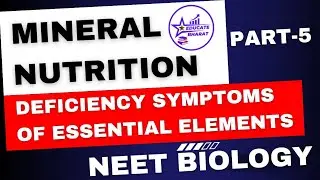 Deficiency symptoms of essential elements | Mineral Nutrition |Part 5| Neet | Saumya Maurya MBBS BHU