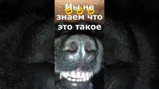 Страшно 😄😄😄