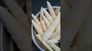 कलीर bomboo shoot