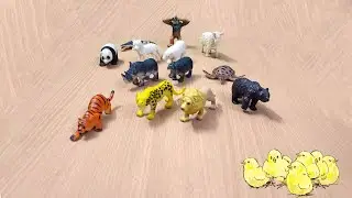 Explore the Excitement of Toy Wildlife and Connect with Nature