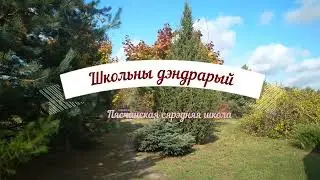 Адпачынак у дэндрарыі