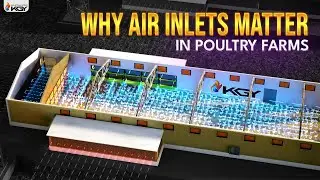 Mastering Poultry Ventilation: Air Inlets Explained🐔