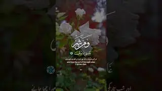 Surah Falak #shortvideo #gilgit #shortsvideo #shorts #short #shortfeed