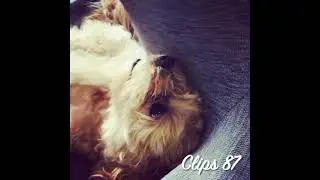 Coco from Instagram / 20190705