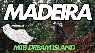 MADEIRA MTB: WITH THE SPECIALIZED TURBO LEVO THROUGH JUNGLE, COWS, AND DREAM TRAILS IN THE MIDDLE...