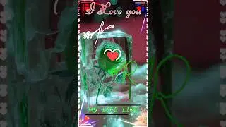 #kR