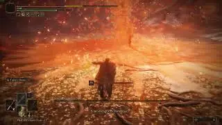 Yo Malenia, I still won... - Elden Ring NG+5
