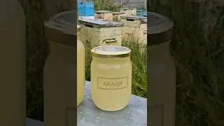 Продам мед Акація! ❤️  Супер мед з нашої сімейної пасіки! 1 літр - 400 грн. #акація #мед #медакація