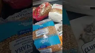 6 сентября 2024 г.#shortsvideo #shortvideo #shorts #short