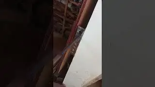 esta é a camponesa