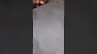 Security Trying to Cuff a Guy at the Anthrax, Black Label Society show in Canada