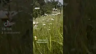 Доброе утро!