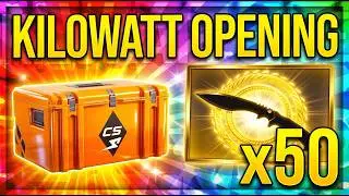 OPENING 50 CASES (I GOT PROFIT!!) CS2 CASE OPENING