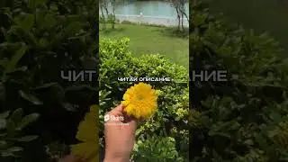 Как вырастить охваты 