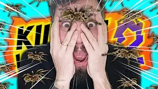 ARACHNOFOBIA dostała ARACHNOFOBII... | Kill It With Fire 2 🔥🕷️