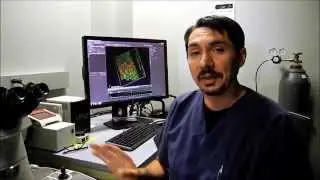 The Confocal Microscope at UTSD