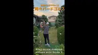 【ショートバージョン】黄昏のエクササイズ 時々バードゴルフ 2022.10.16撮影 #ターゲットバードゴルフ 番外編