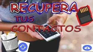 como respaldar mis contactos telefonicos