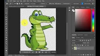 Single Color Background