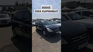 ЭНГ АРЗОНИ