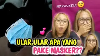 ULAR KASUR JENIS BLACK PINK || Ome tv ular kasur indonesia