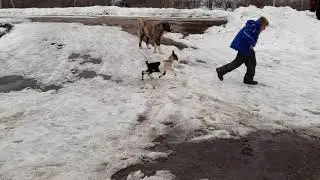 Норвегия