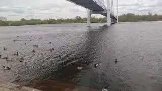 Енисей.  Набережная. 2021