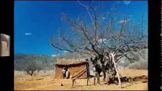 IRMÃO DU CAPETA