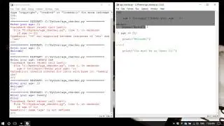 49. Обработка исключений в Python 3 - handling exceptions (Уроки Python) RU
