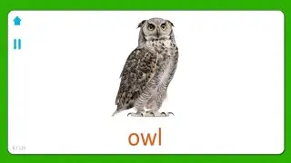 Presentazione per bambini - Giochi educativi - Inglese - Flashcard - APP