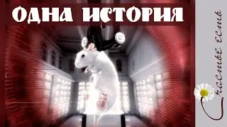 Грустный мультфильм "История одной мышки". Фильмы со смыслом.  Счастье есть. Смысл жизни.