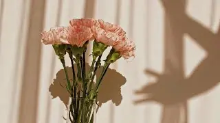 Ballerina   -  Franck Pourcel (Nabucco: Va, pensiero - Verdi)