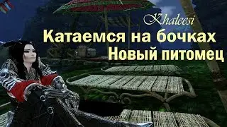 ArcheAge 4.7 Фестиваль ездоков на бочках, новый пет