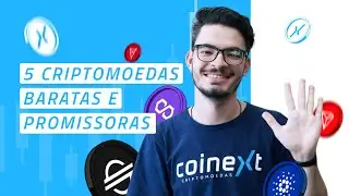 Criptomoedas baratas e promissoras para começar a investir em 2023 + Conteúdo exclusivo