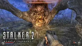 Stalker 2 Funny Moments & Outtakes