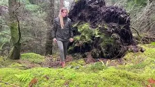 Build a Complete Survival Shelter with Fireplace | Bushcraft