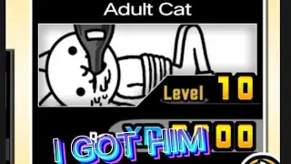ADULT CAT!  | Battle cats EP2