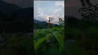 DGPS Survey