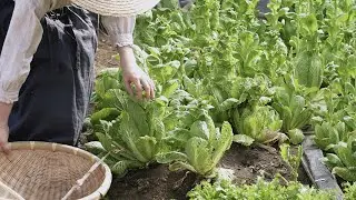 How to overcome lethargy with Fresh Spring Vegetables 🥗
