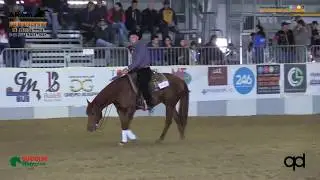 6 show ARAM 2018 - MANUCCI ANDREA su SMART N DUNIT di PALMARINI SILVIO con score 72