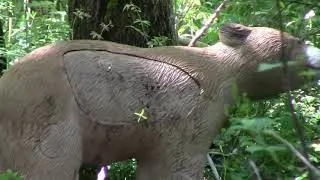 Traditional 3D Archery GoldenHawks Archery Club 5-8-2021