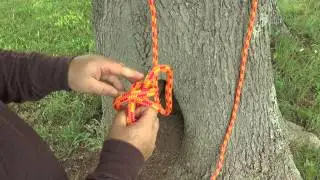 Buntline