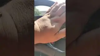 помыл машину
