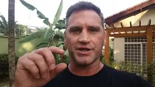 Como falar BOM DIA, BOA TARDE, e BOA NOITE em inglês corretamente