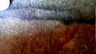 Багажник Форда до эко чистки