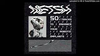 Netsh - Gone Before Your Last Wish